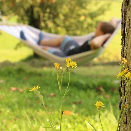 Urlaub Am Zechnerhof Apartment Straßburg in Kärnten Екстериор снимка