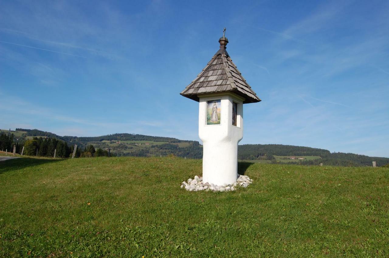 Urlaub Am Zechnerhof Apartment Straßburg in Kärnten Екстериор снимка